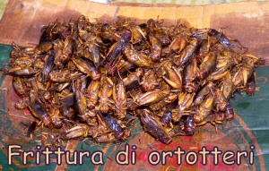 Cavallette fritte